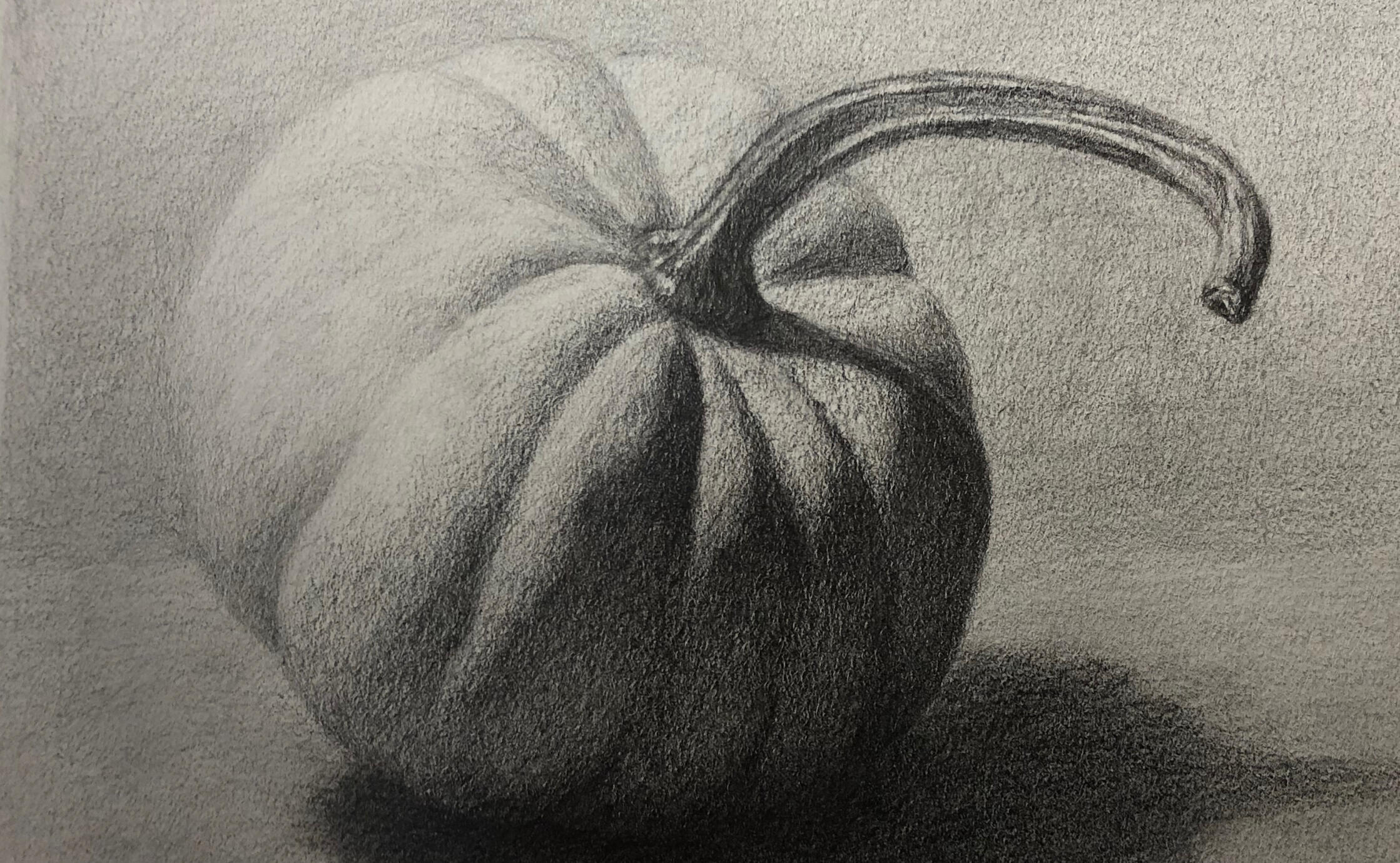 Pumpkin in Graphite